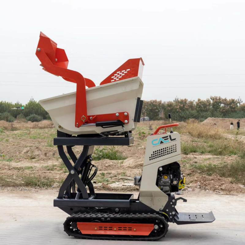 CAEL Dumper BS-1100 lbs - Image 3